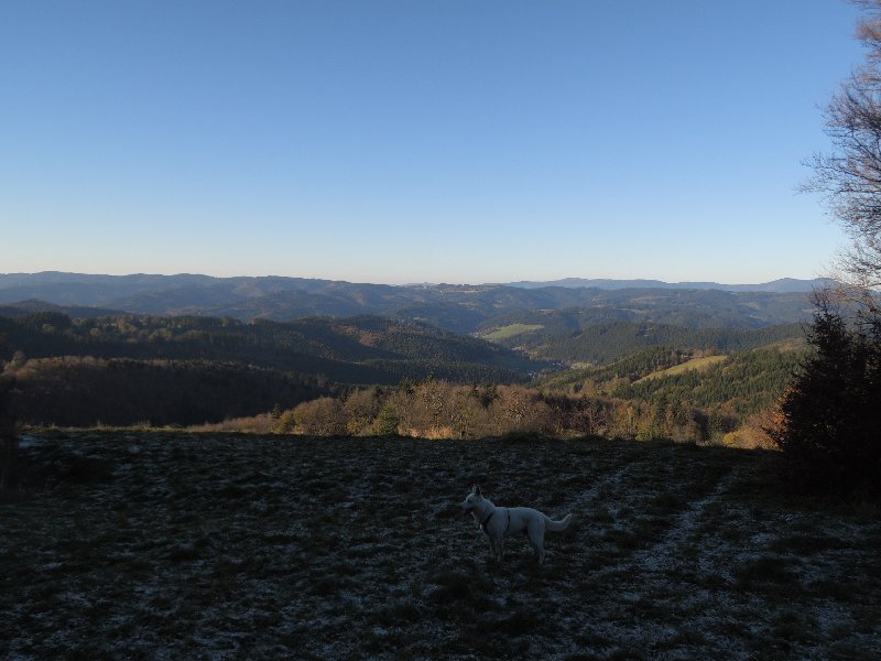 dscn4188.jpg