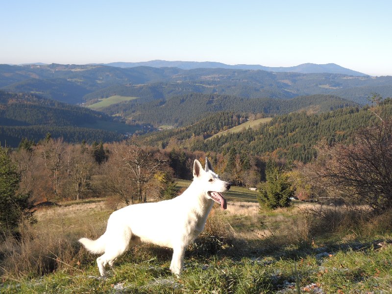 dscn4207.jpg