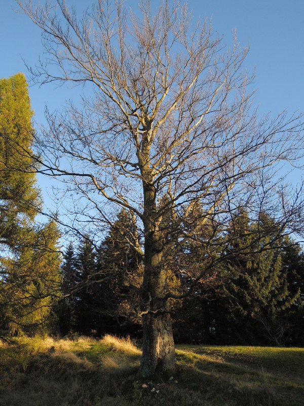dscn4334.jpg