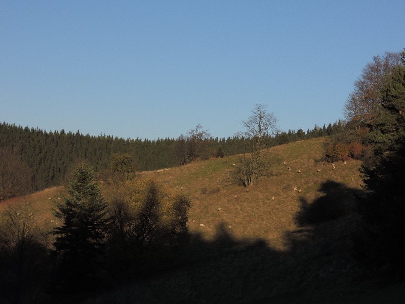dscn4341.jpg