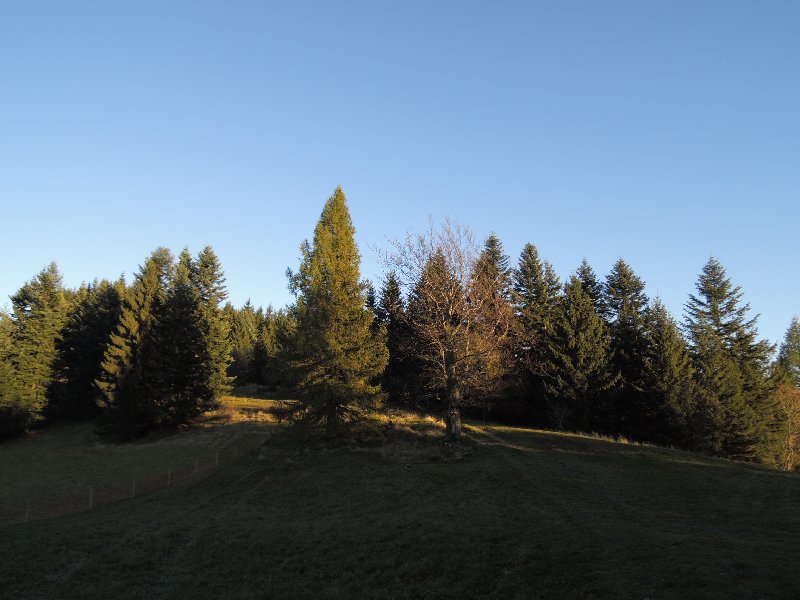 dscn4343.jpg