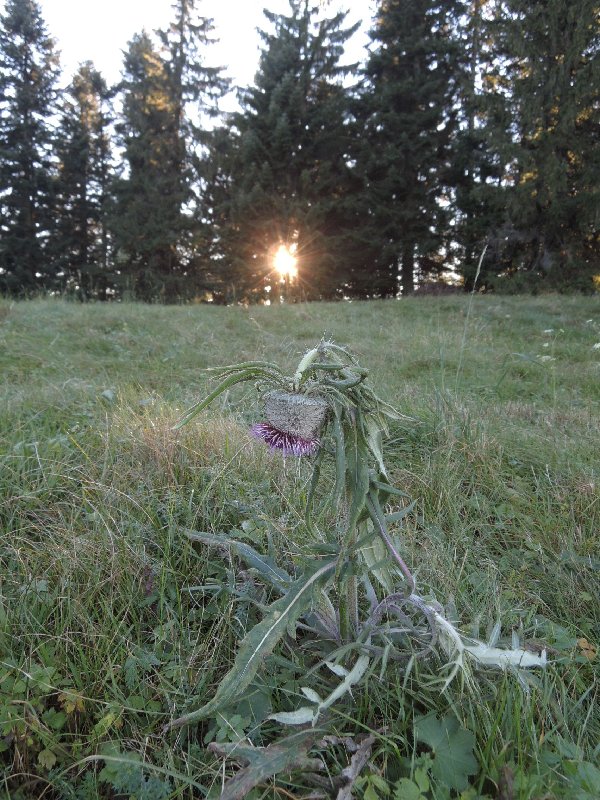 dscn4349.jpg