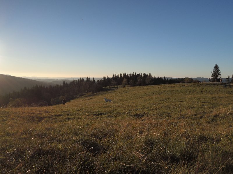 dscn4372.jpg