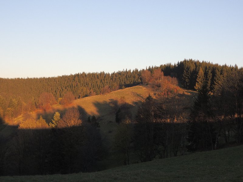 dscn4392.jpg