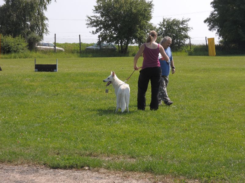 dscn0707.jpg