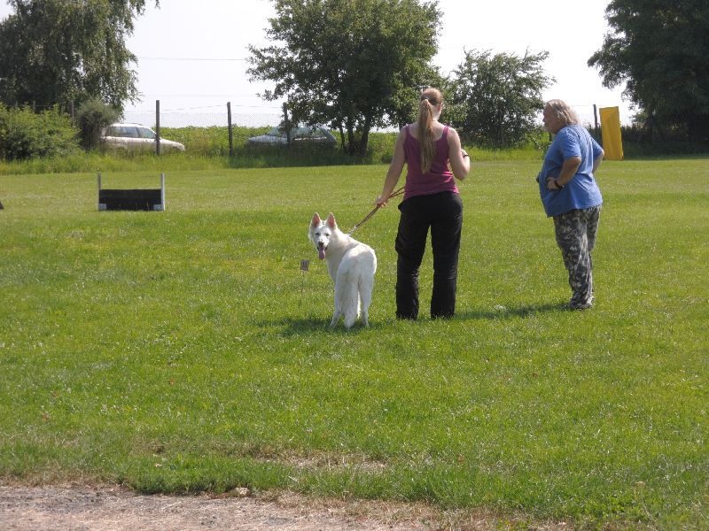 dscn0708.jpg