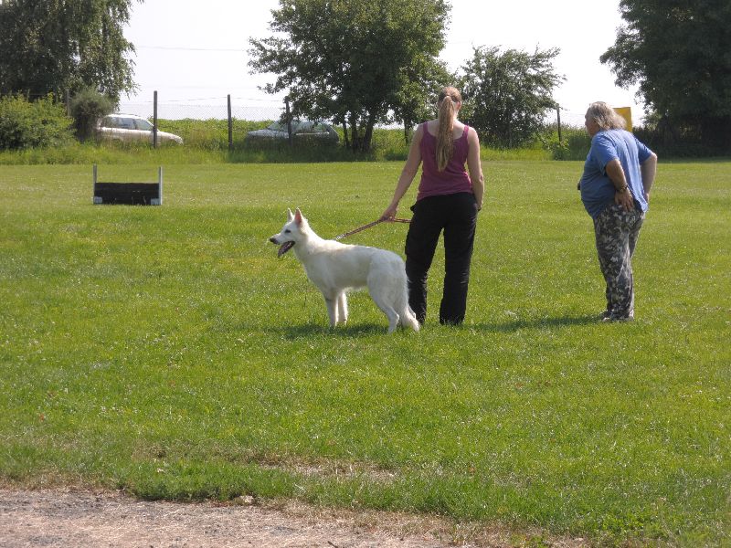 dscn0709.jpg