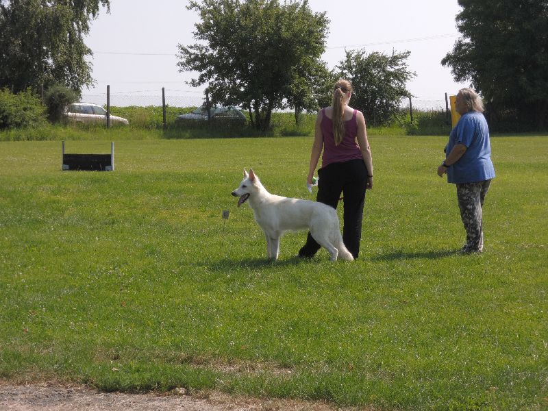 dscn0711.jpg