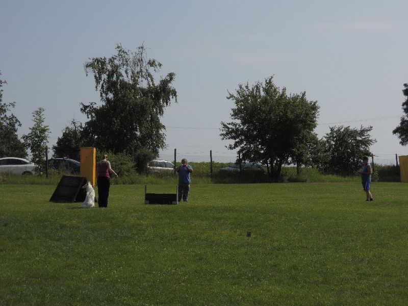 dscn0714.jpg
