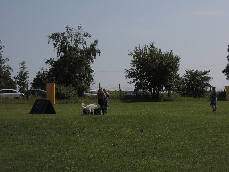 dscn0715.jpg