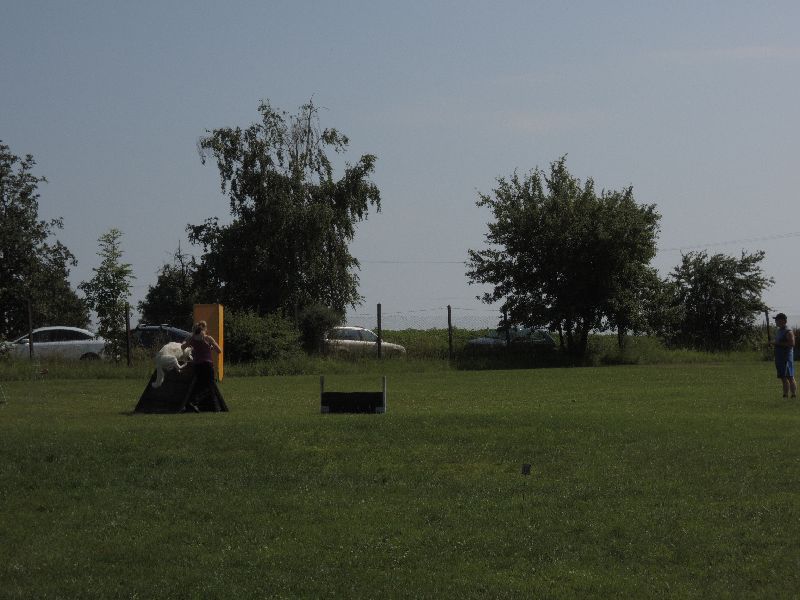 dscn0716.jpg
