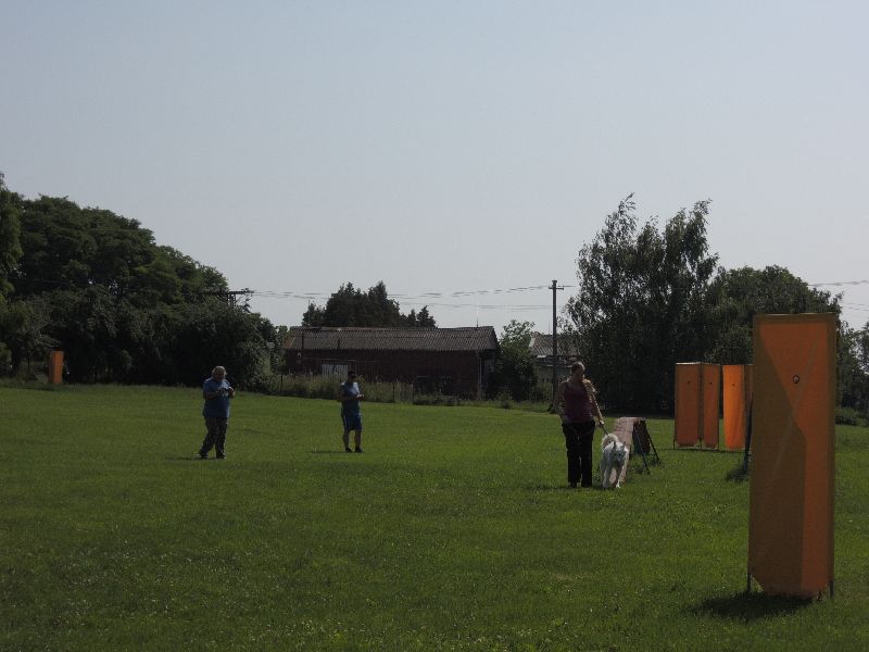dscn0718.jpg