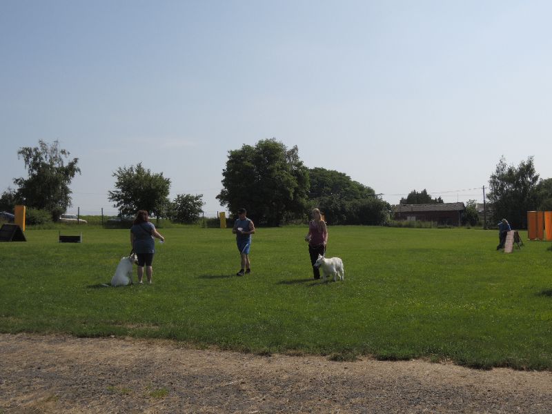 dscn0722.jpg