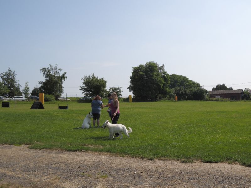 dscn0723.jpg