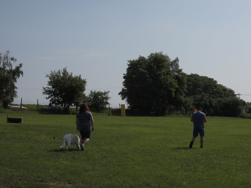 dscn0726.jpg