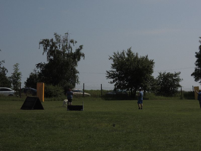 dscn0730.jpg