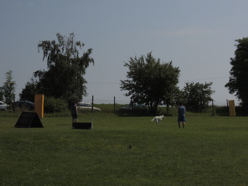 dscn0731.jpg