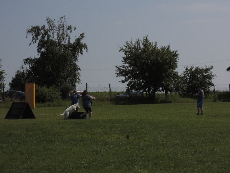 dscn0737.jpg