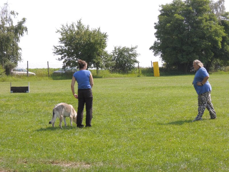 dscn0747.jpg
