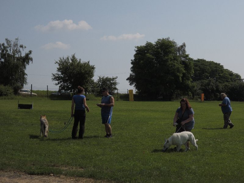 dscn0748.jpg