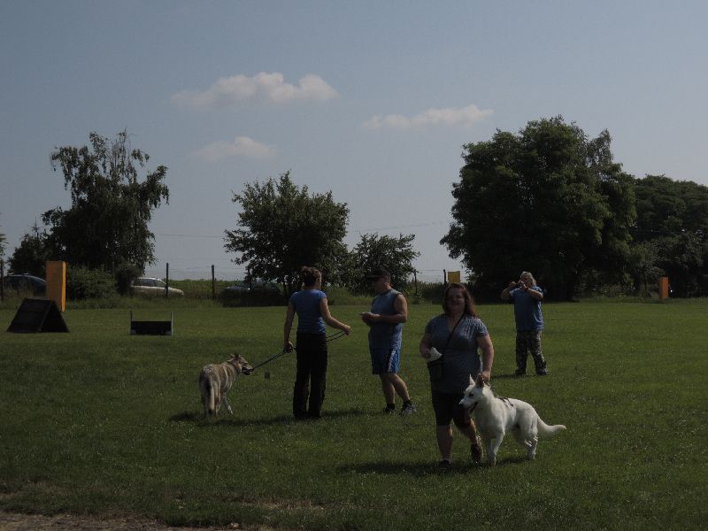 dscn0749.jpg