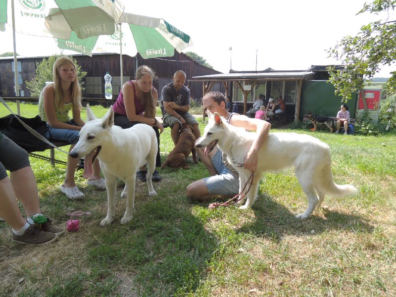 dscn0753.jpg