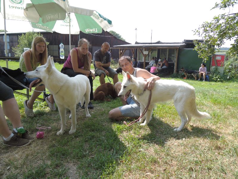 dscn0754.jpg
