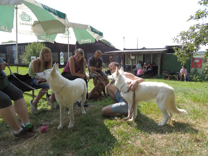 dscn0755.jpg