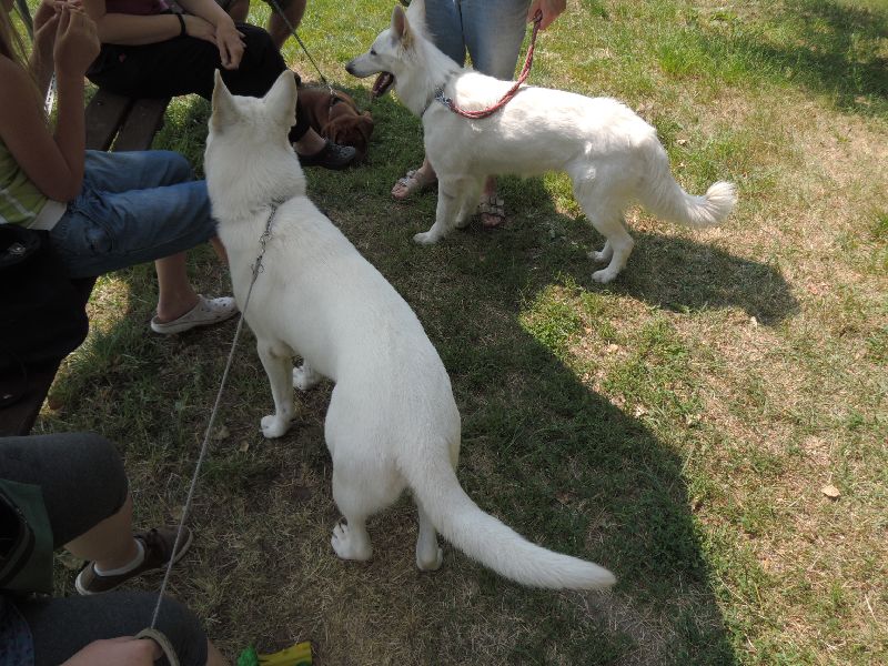 dscn0762.jpg