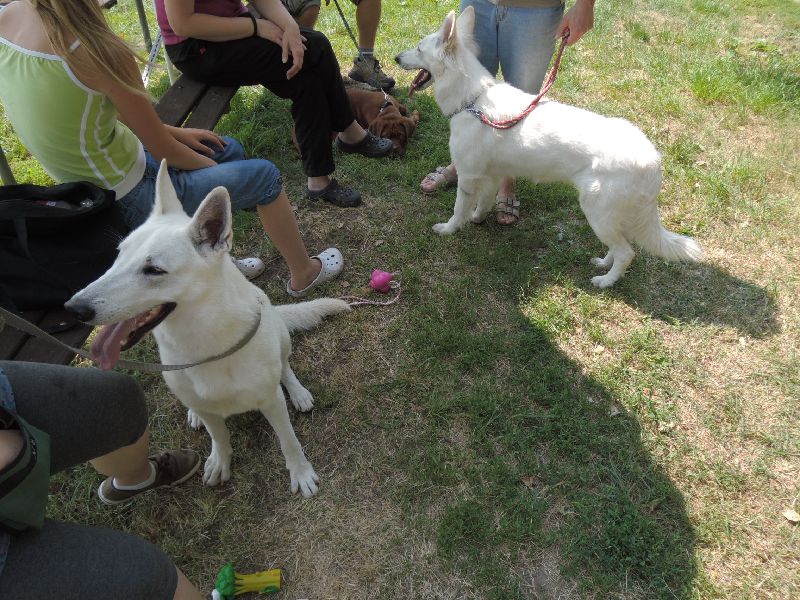dscn0763.jpg