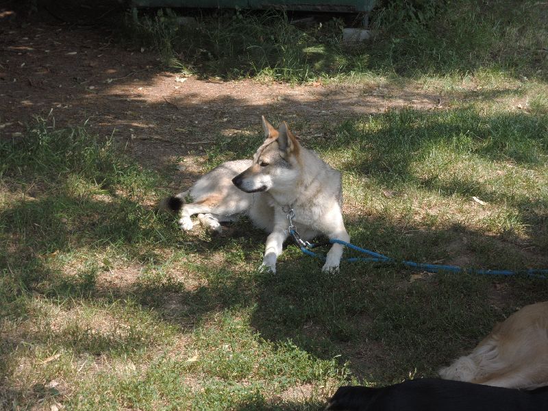 dscn0766.jpg