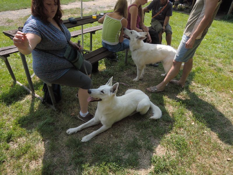 dscn0772.jpg