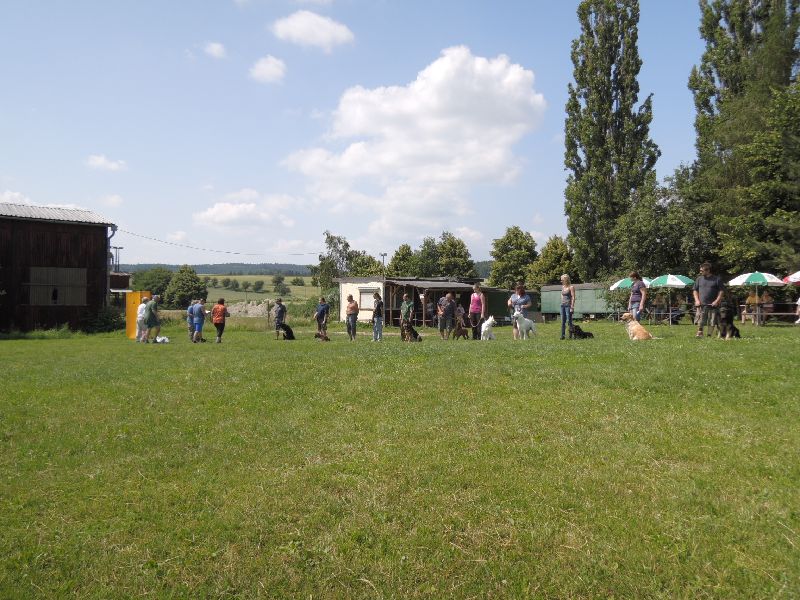 dscn0781.jpg
