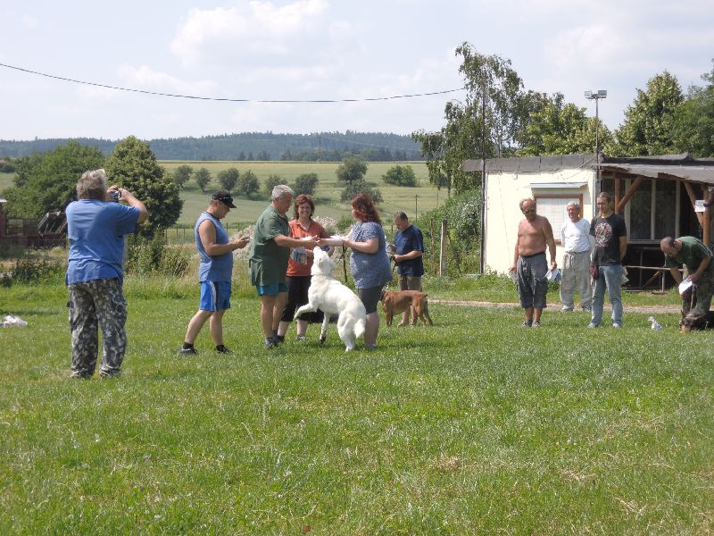 dscn0794.jpg