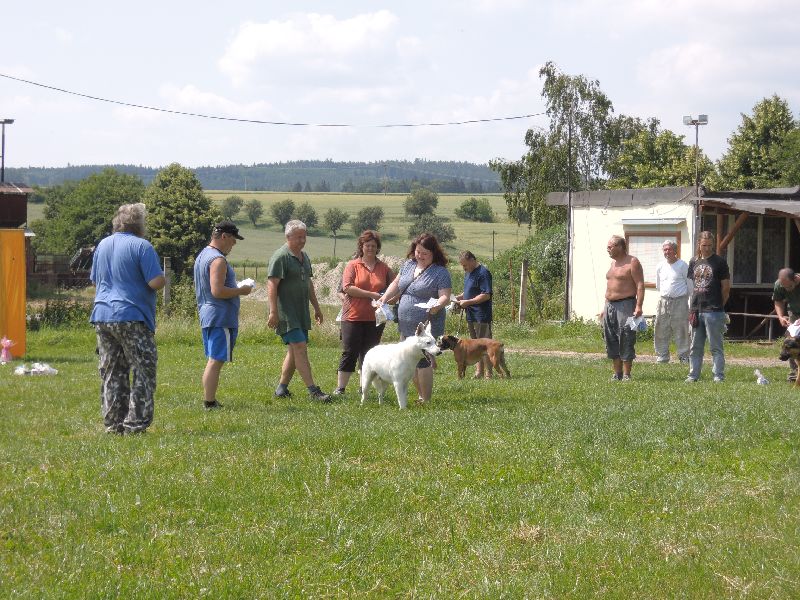 dscn0796.jpg