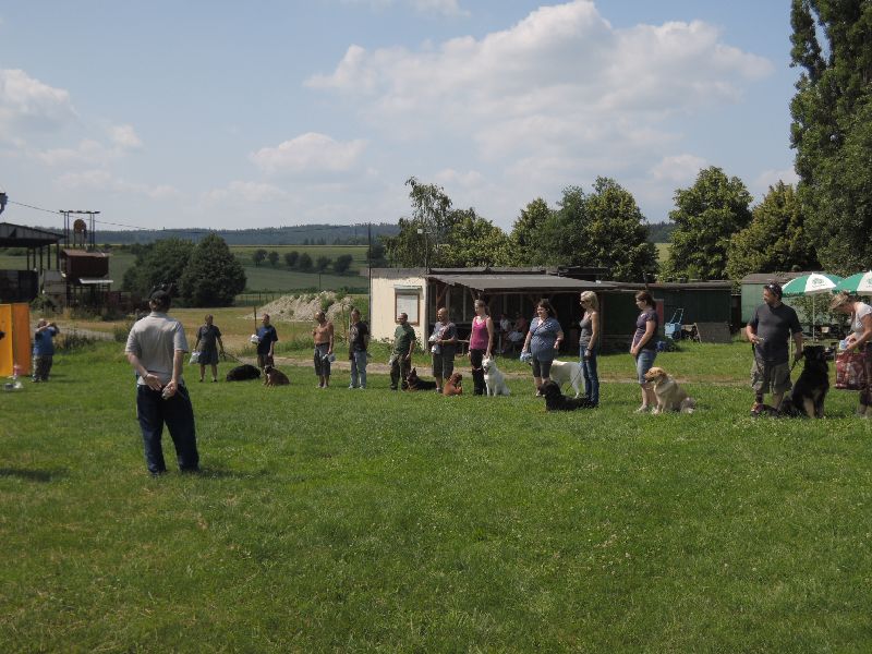 dscn0800.jpg