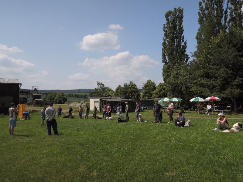 dscn0802.jpg