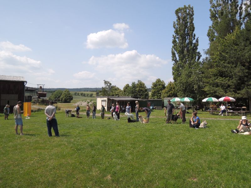 dscn0803.jpg