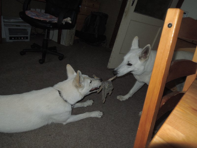 dscn3478.jpg