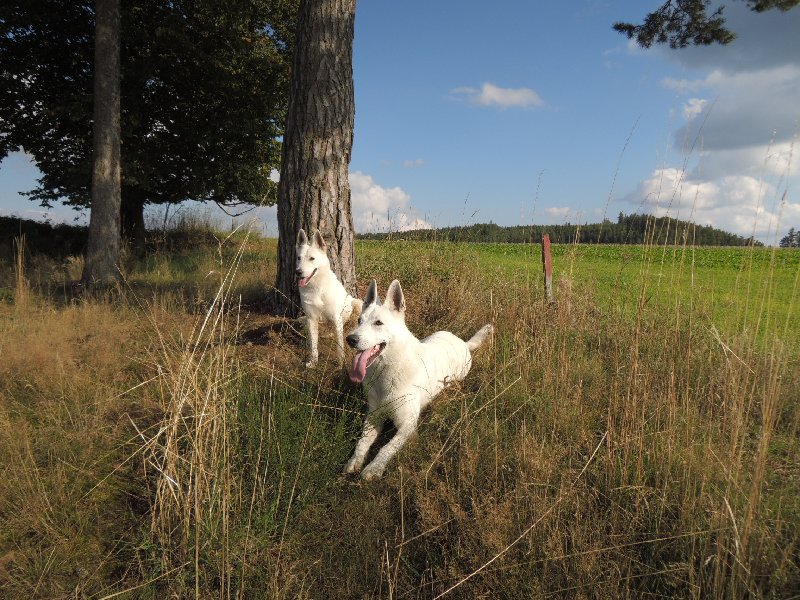 dscn3510.jpg