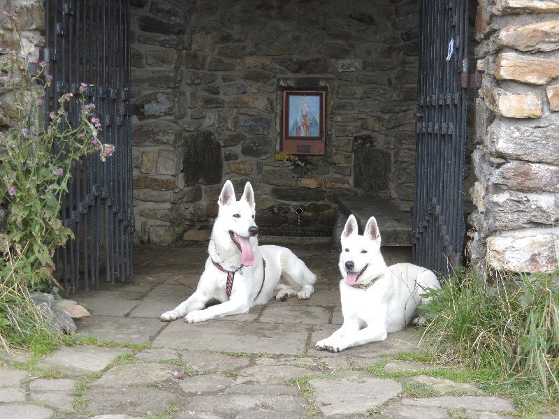 dscn3545.jpg