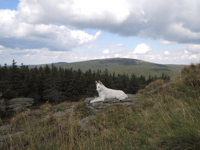 dscn3643.jpg