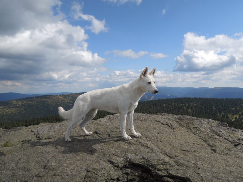 dscn3690.jpg