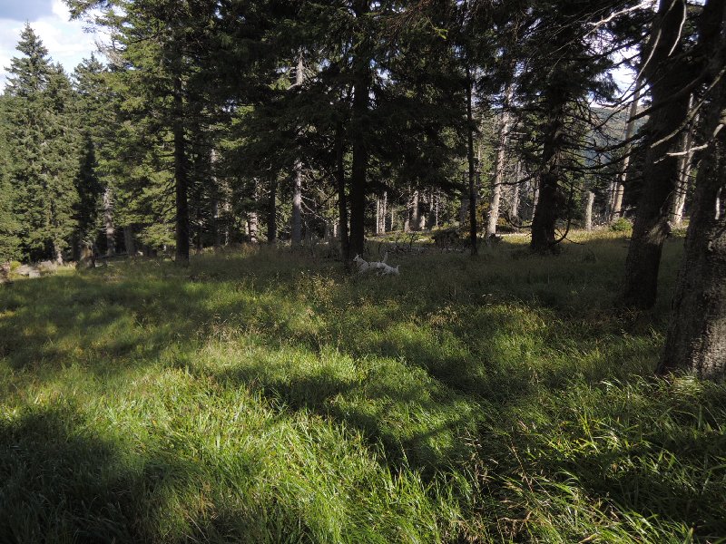 dscn3697.jpg