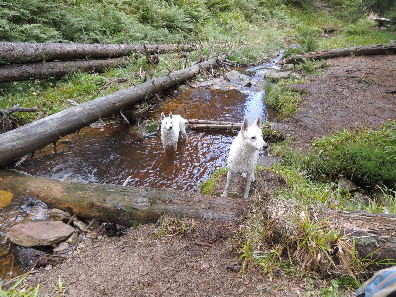 dscn3727.jpg