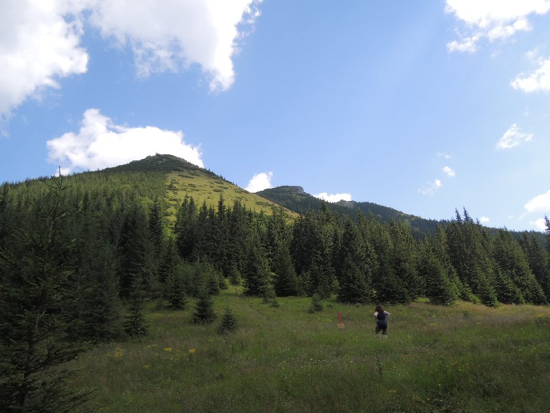 dscn3194.jpg