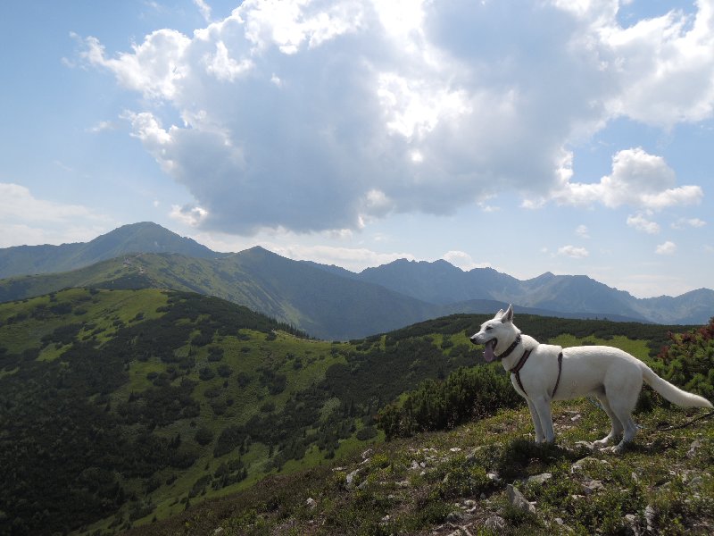 dscn3210.jpg