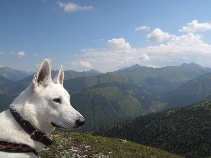 dscn3228.jpg