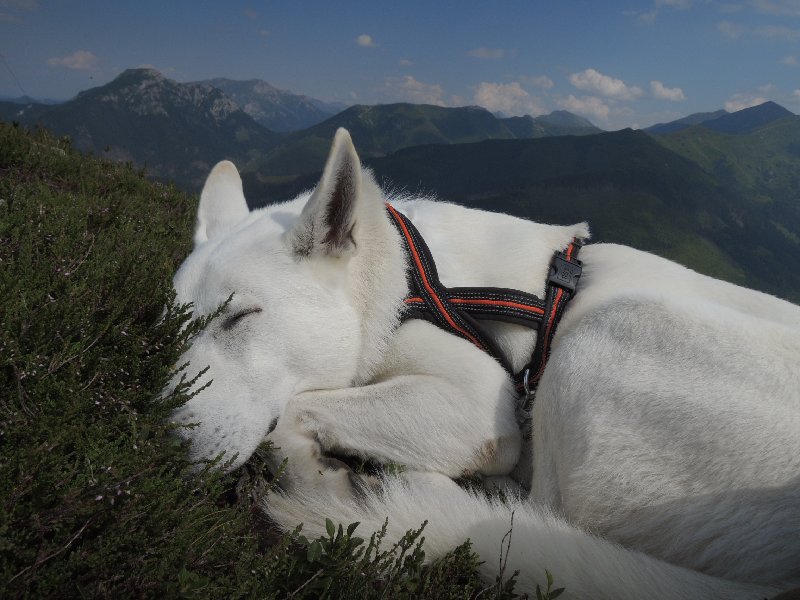 dscn3259.jpg