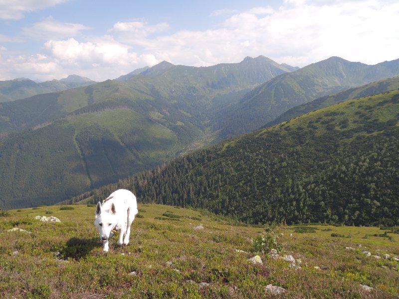 dscn3305.jpg